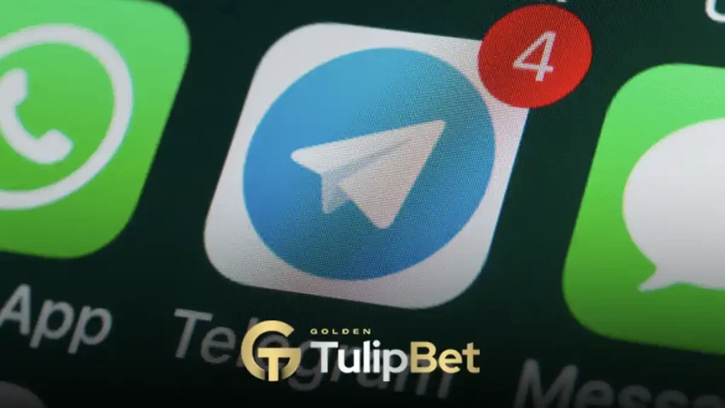 tulipbet telegram hattı