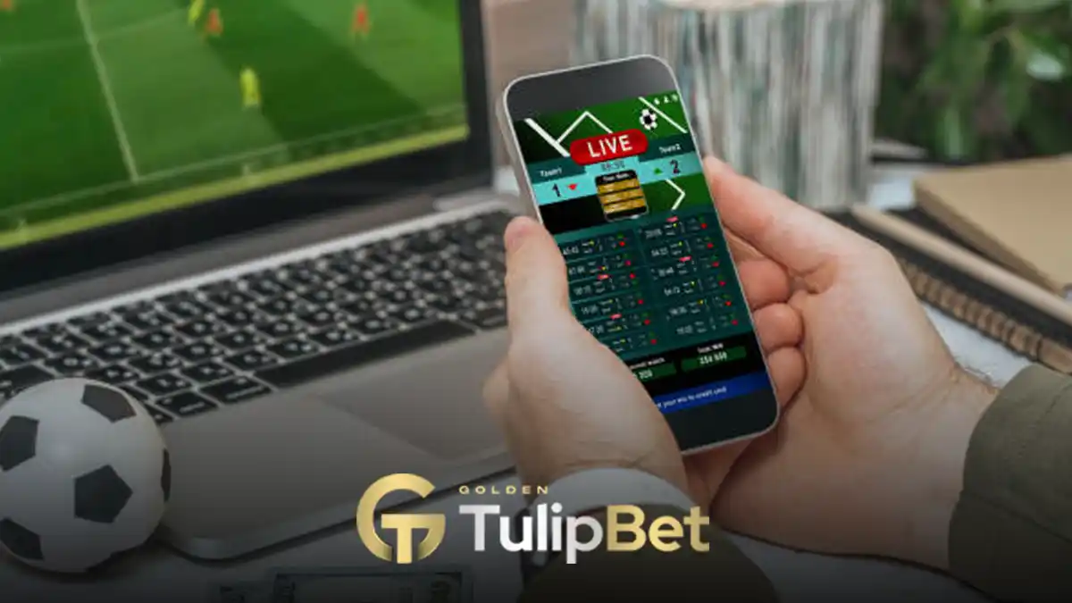 Tulipbet canlı bahis taktikleri