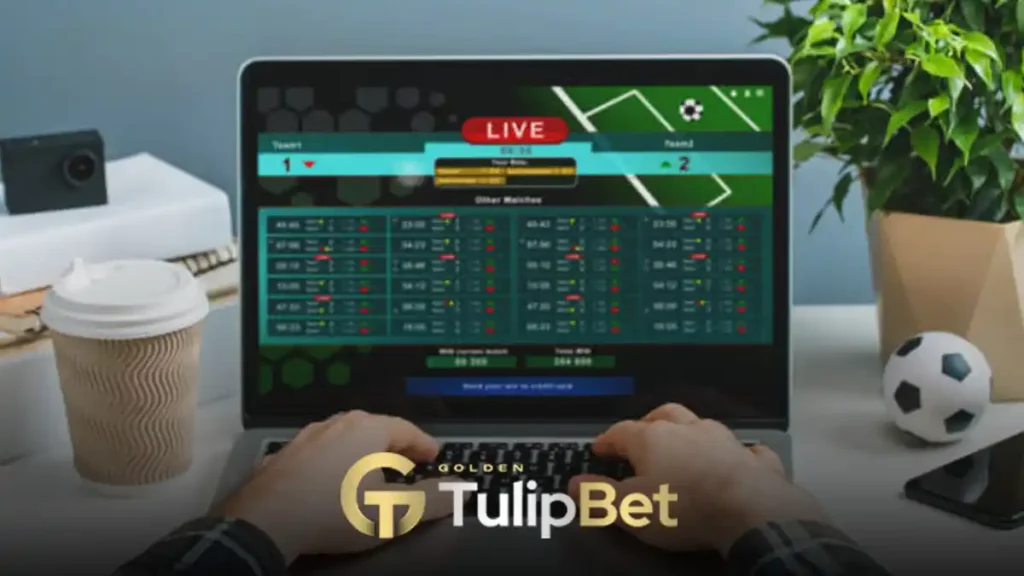 Tulipbet canlı bahis taktikleri