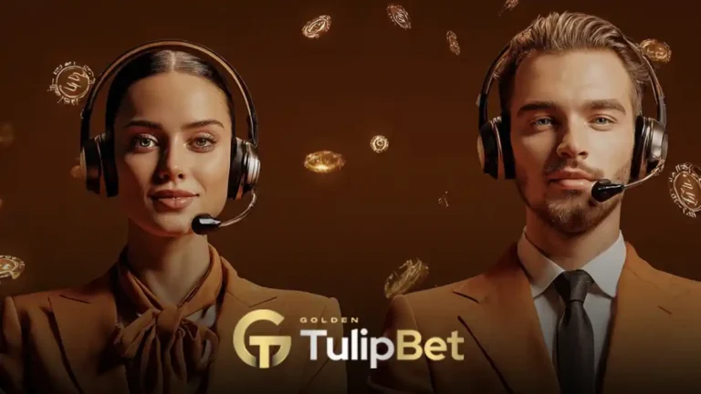 tulipbet canlı destek kanalı