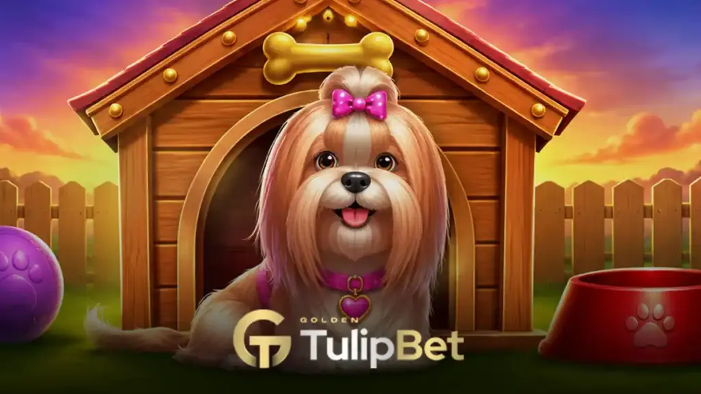 The Dog House oyunu taktikleri