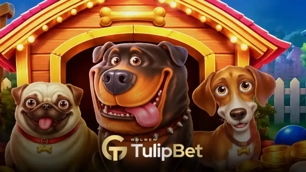 The Dog House oyunu taktikleri