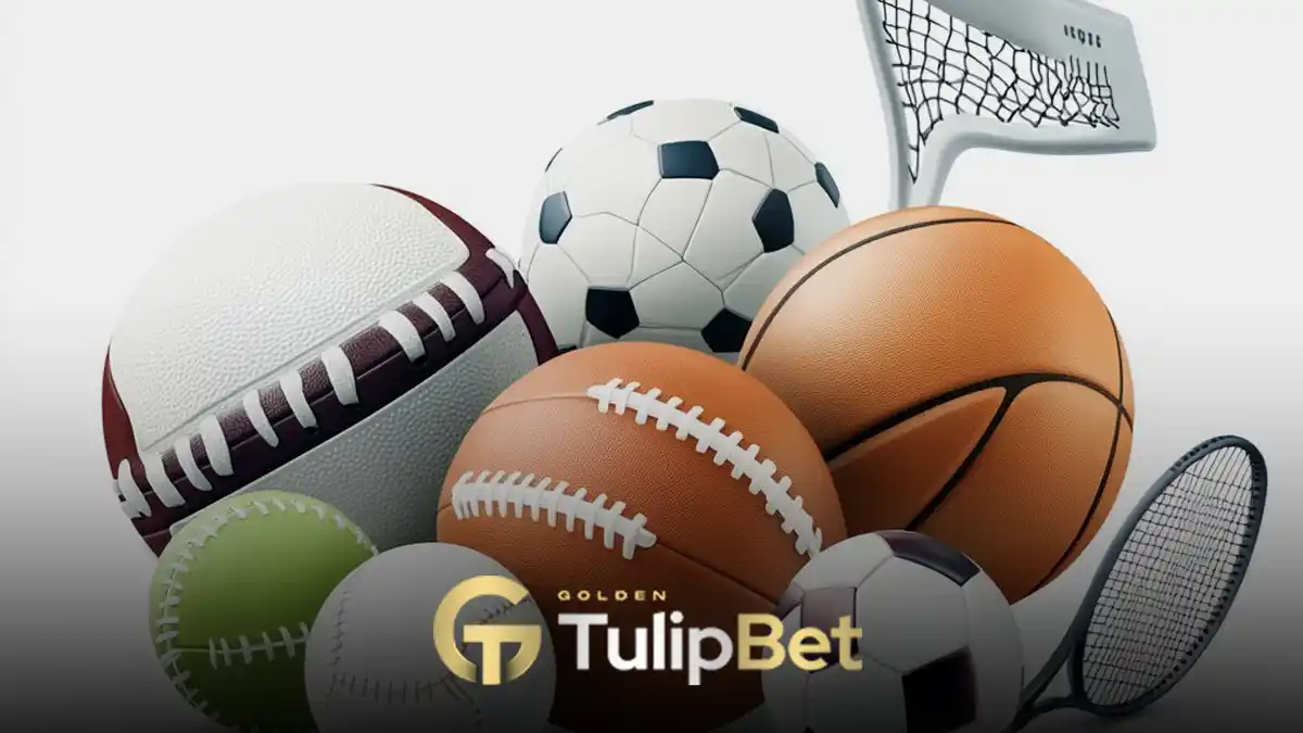Tulipbet bahis kuralları